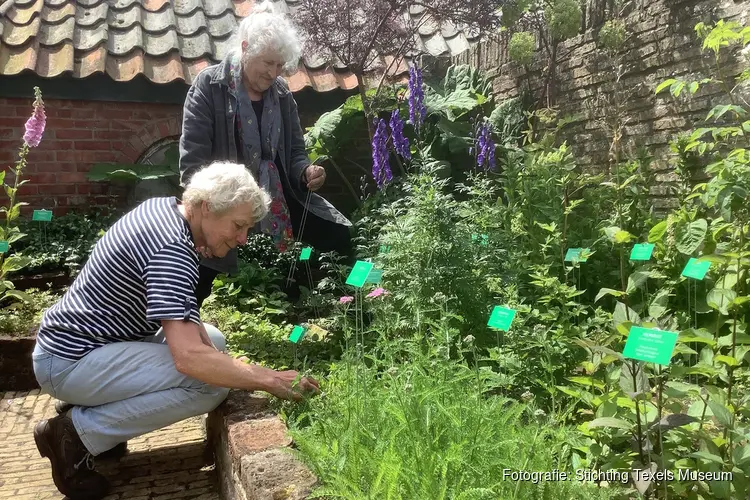 Nieuwe bordjes in kruidentuin Oudheidkamer