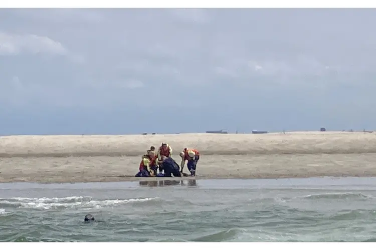 Verstrikte zeehond bevrijd door Ecomare en KNRM