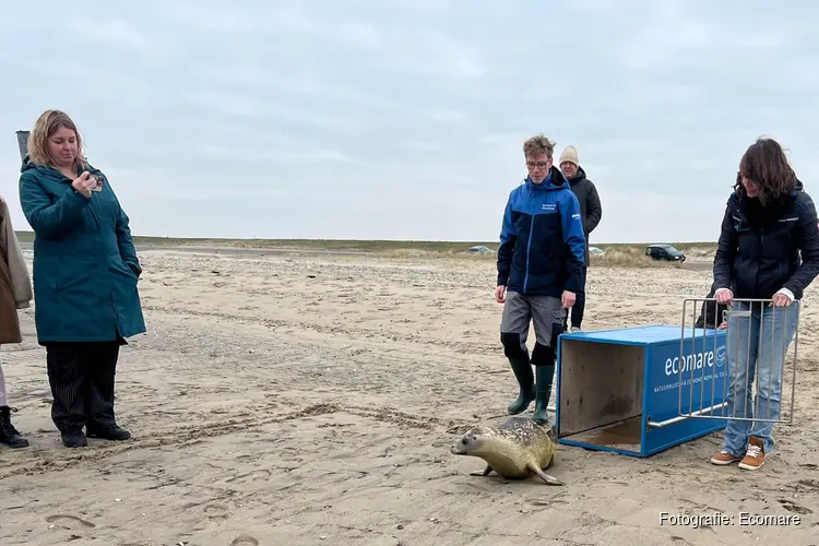 'Een bijzonder geval' terug naar zee