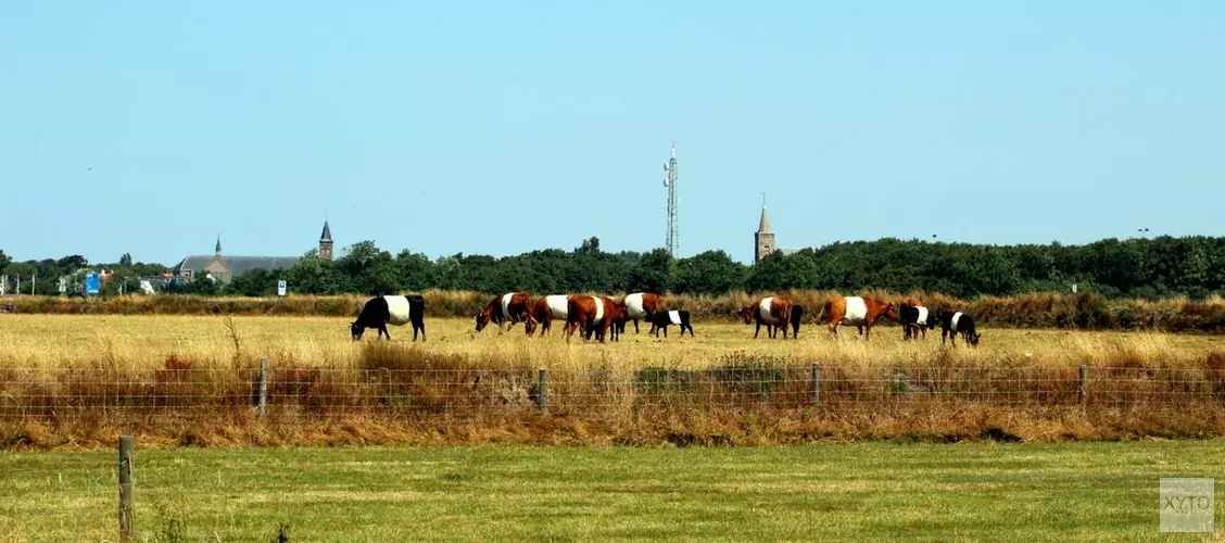 Nieuwe dienstregeling Texelhopper verloopt moeizaam