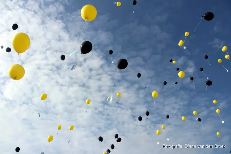 Mogelijk ballonnenverbod op Texel: "Ze zijn rampzalig voor het milieu"