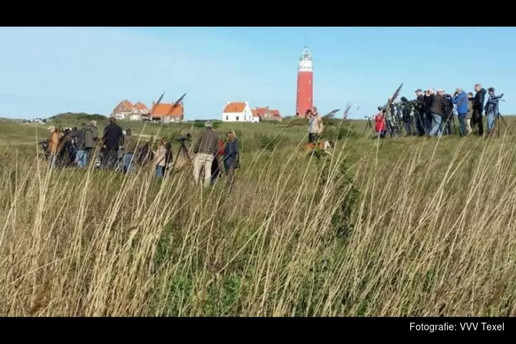 Tijdens Wadden Vogelfestival meer dan 170 verschillende vogelsoorten spotten