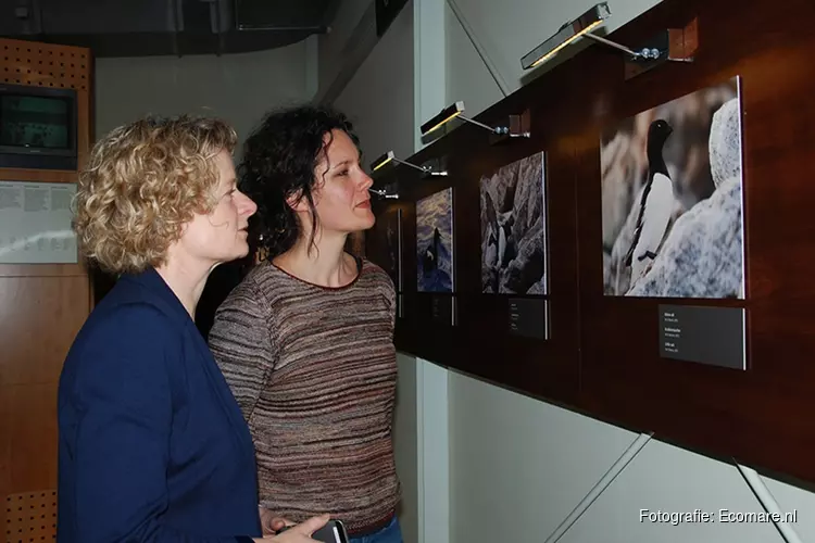 Fototentoonstelling bij Ecomare geopend