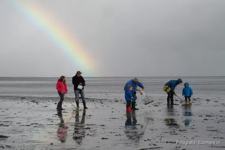 Nieuw: Engelstalige excursies