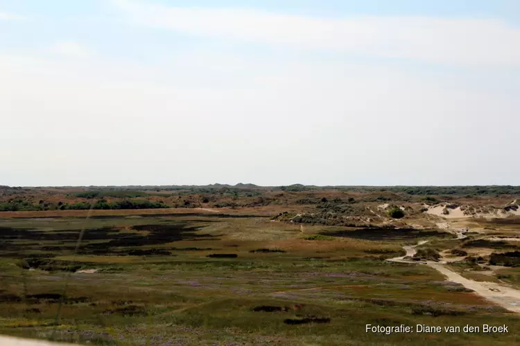 Natuurbrandrisico op Texel weer nihil: rookverbod geldt niet meer