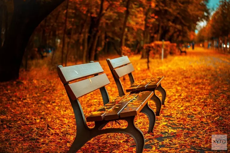 Voor meteorologen is de herfst begonnen