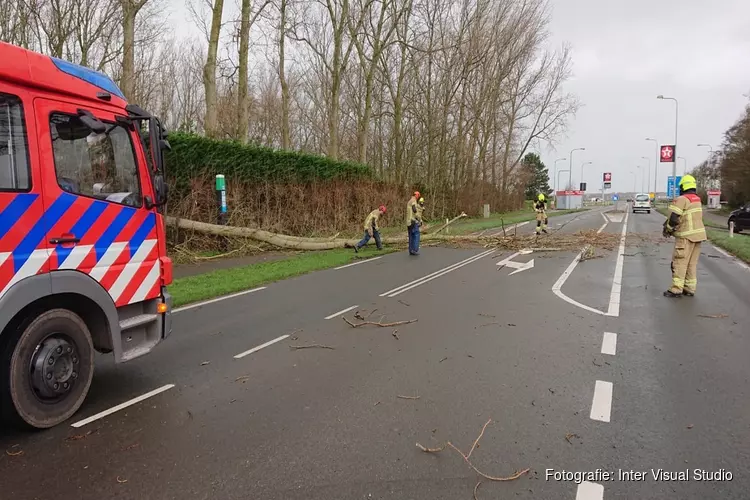 Boom op auto op Pontweg