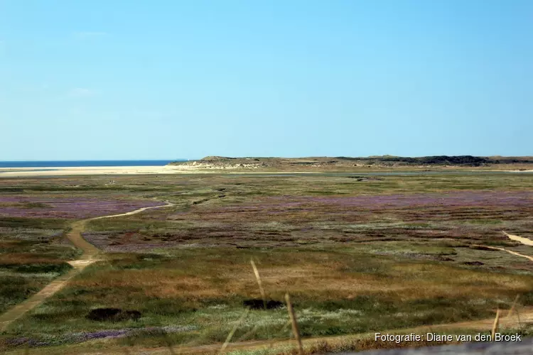 Staatsbosbeheer zoekt vrijwilligers voor opruimactie: "Slufter ligt vol plastic afval"