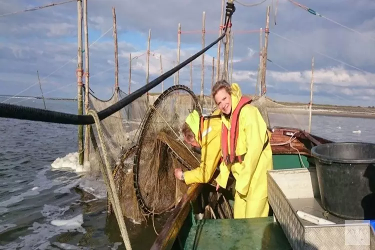 Winterlezing bij Ecomare: Vissen in de Waddenzee