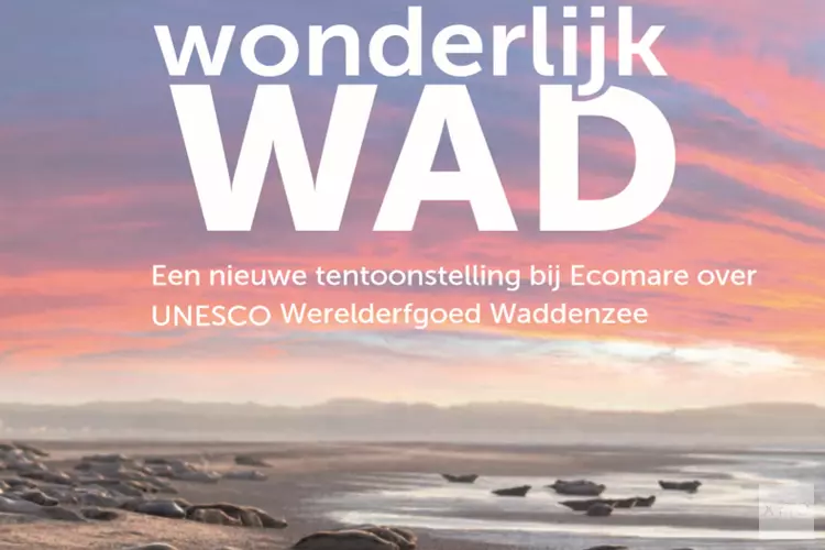 Opening Wonderlijk Wad