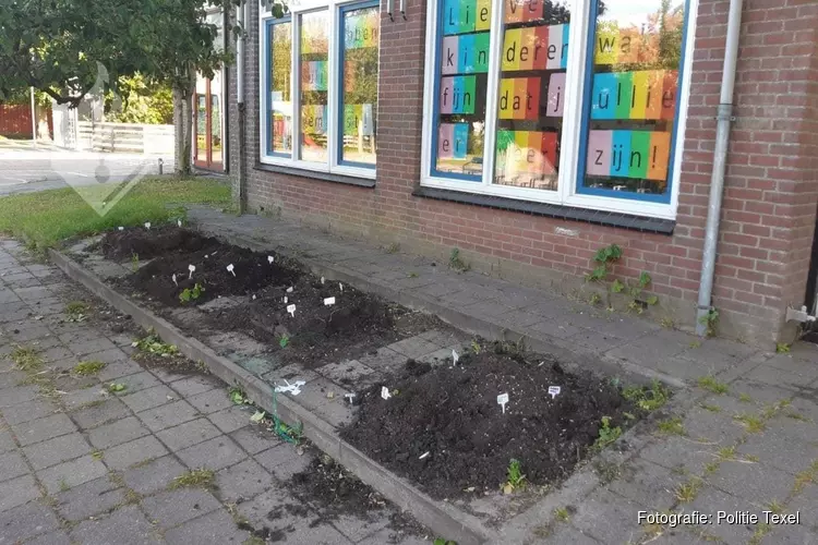 Door kinderen aangelegde moestuintjes vernield