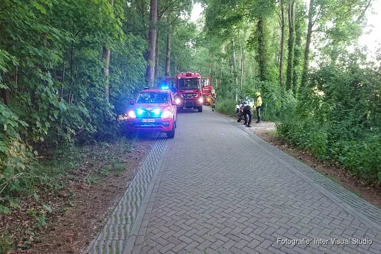 Natuurbrandje Den Burg snel onder controle