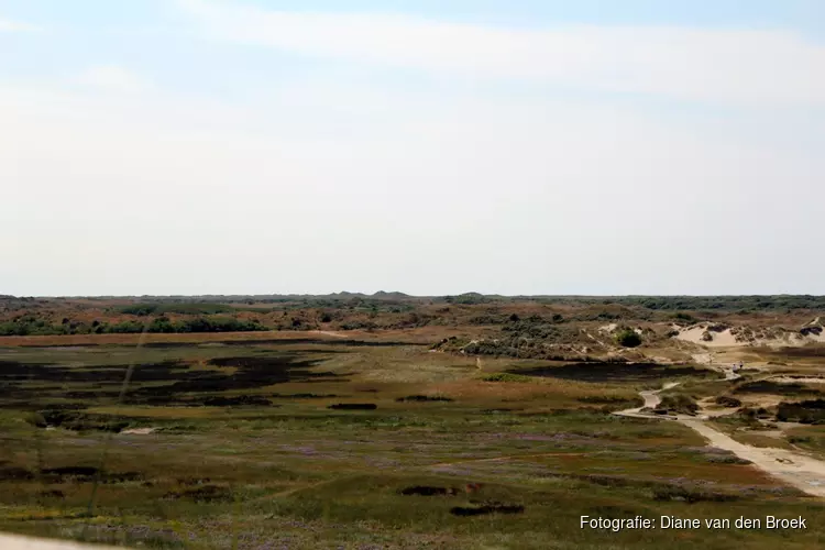Rook- en stookverbod in bos-, duin- en heidegebieden op Texel