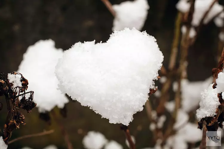 Wat te doen met Valentijnsdag in coronatijd?