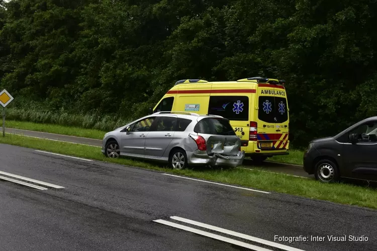 Kopstaartbotsing op Texel